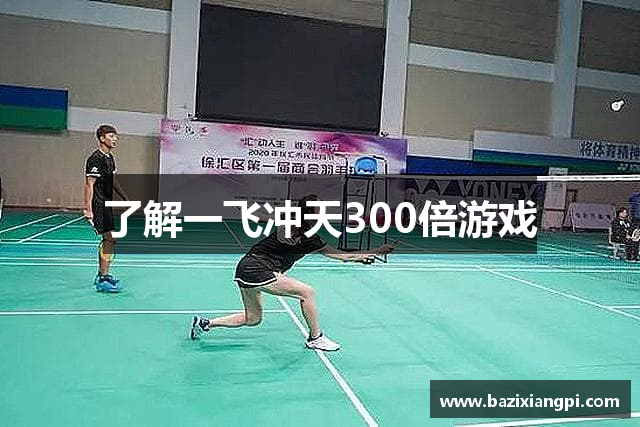 了解一飞冲天300倍游戏